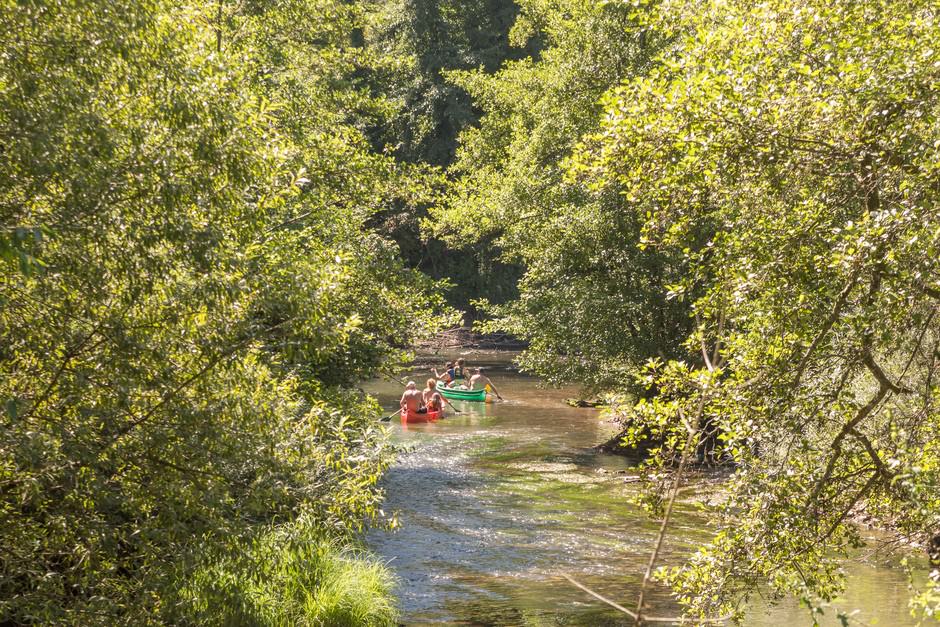 photo d'entreprise vacance strasbourg rivière canoes vert et rouge